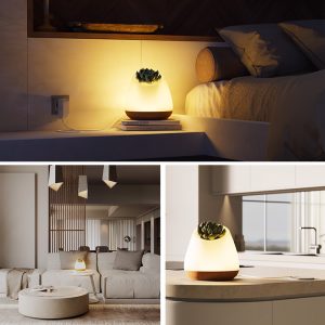 Decorating different rooms with Pack of 3 Bioo Lux