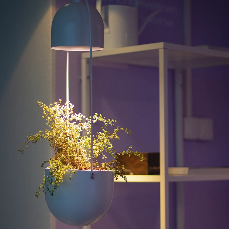 Illuminated Pendant Planter