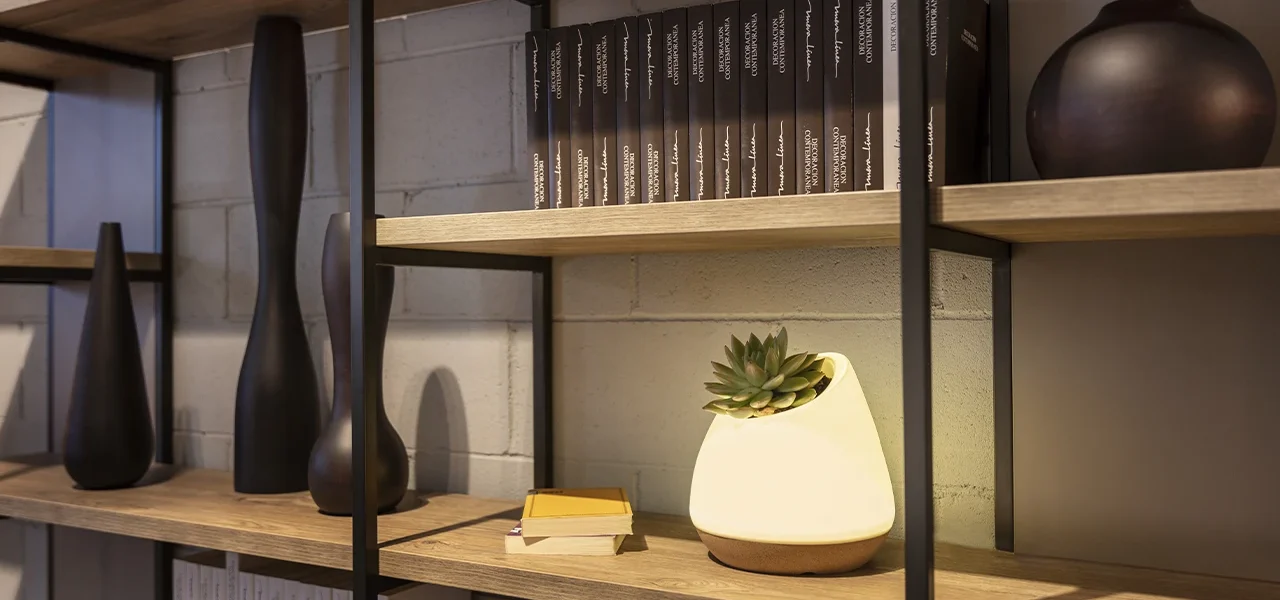 Bioo Lux, Award-Winning Revolutionary Product