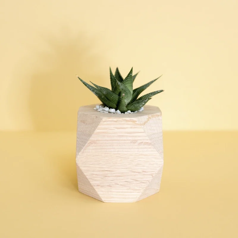 Geometrical shape modern plant pot